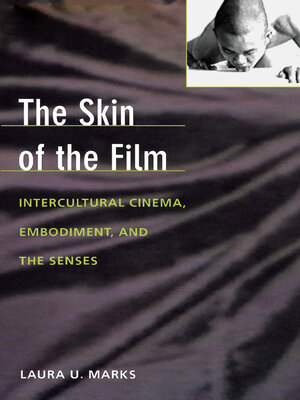 cover image of The Skin of the Film